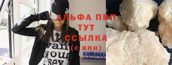 молекула духа Новозыбков