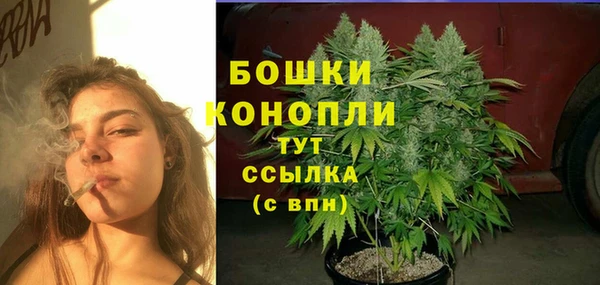 амф Касимов