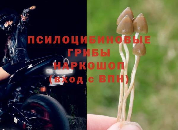амф Касимов