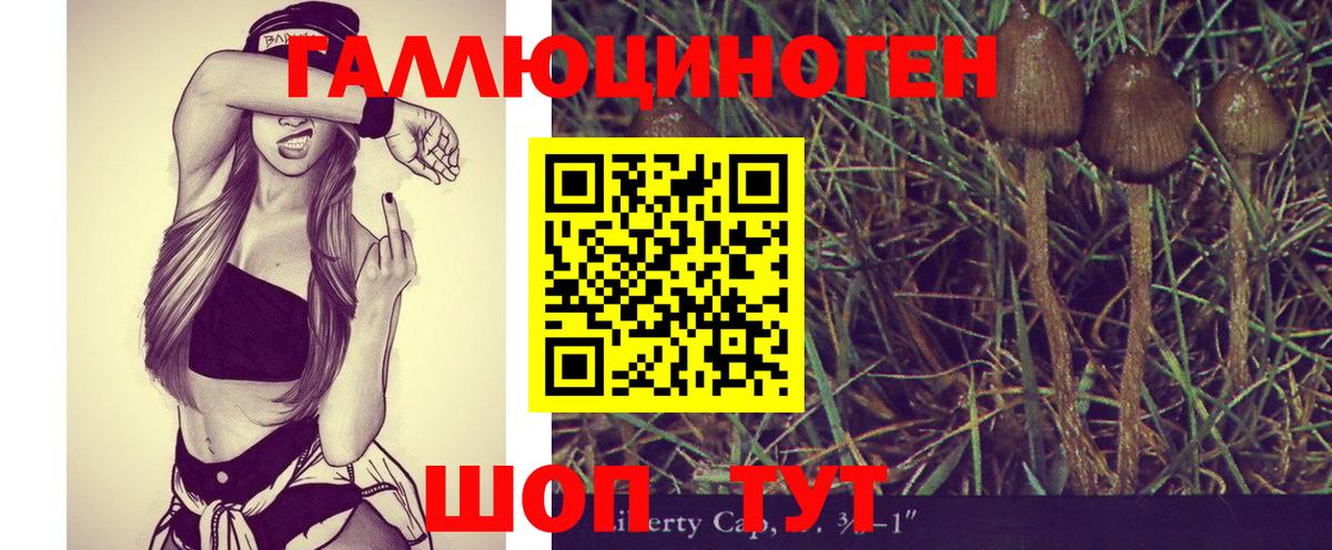 Галлюциногенные грибы Magic Shrooms Евпатория