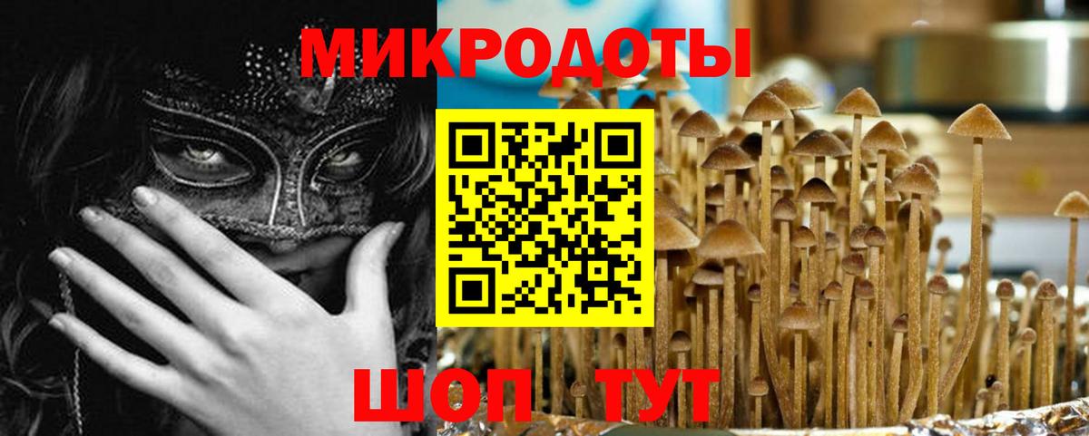 Галлюциногенные грибы мухоморы  Вход с VPN  Евпатория 